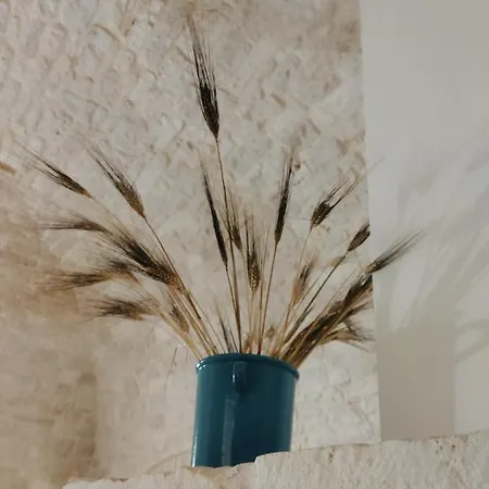 Casa De Amicis דירה *