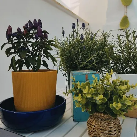 Apartamento Casa De Amicis