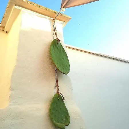 Casa De Amicis *