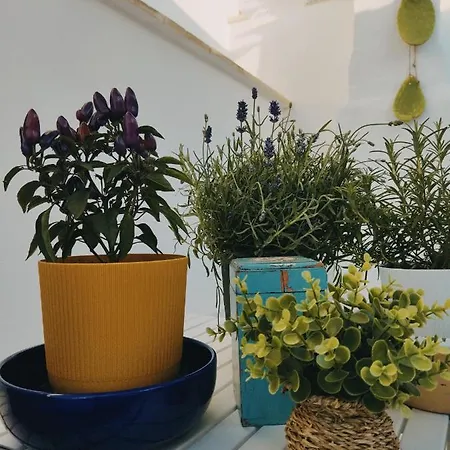 Casa De Amicis 萨米凯莱-迪巴里